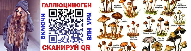 Псилоцибиновые грибы мухоморы  Купить закладки  Стрежевой 